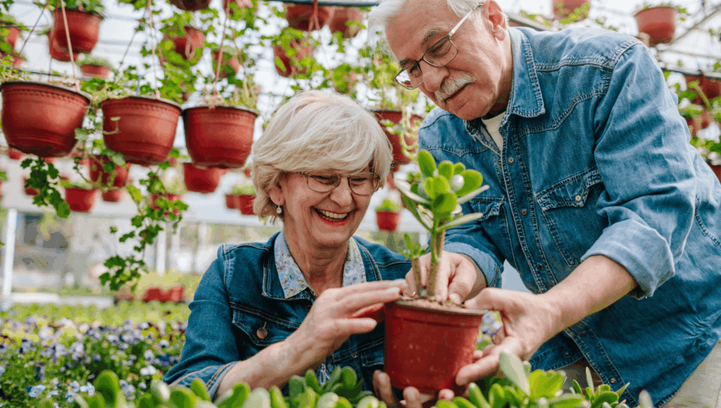 Transportation for Adult Day Programs in Massachusetts