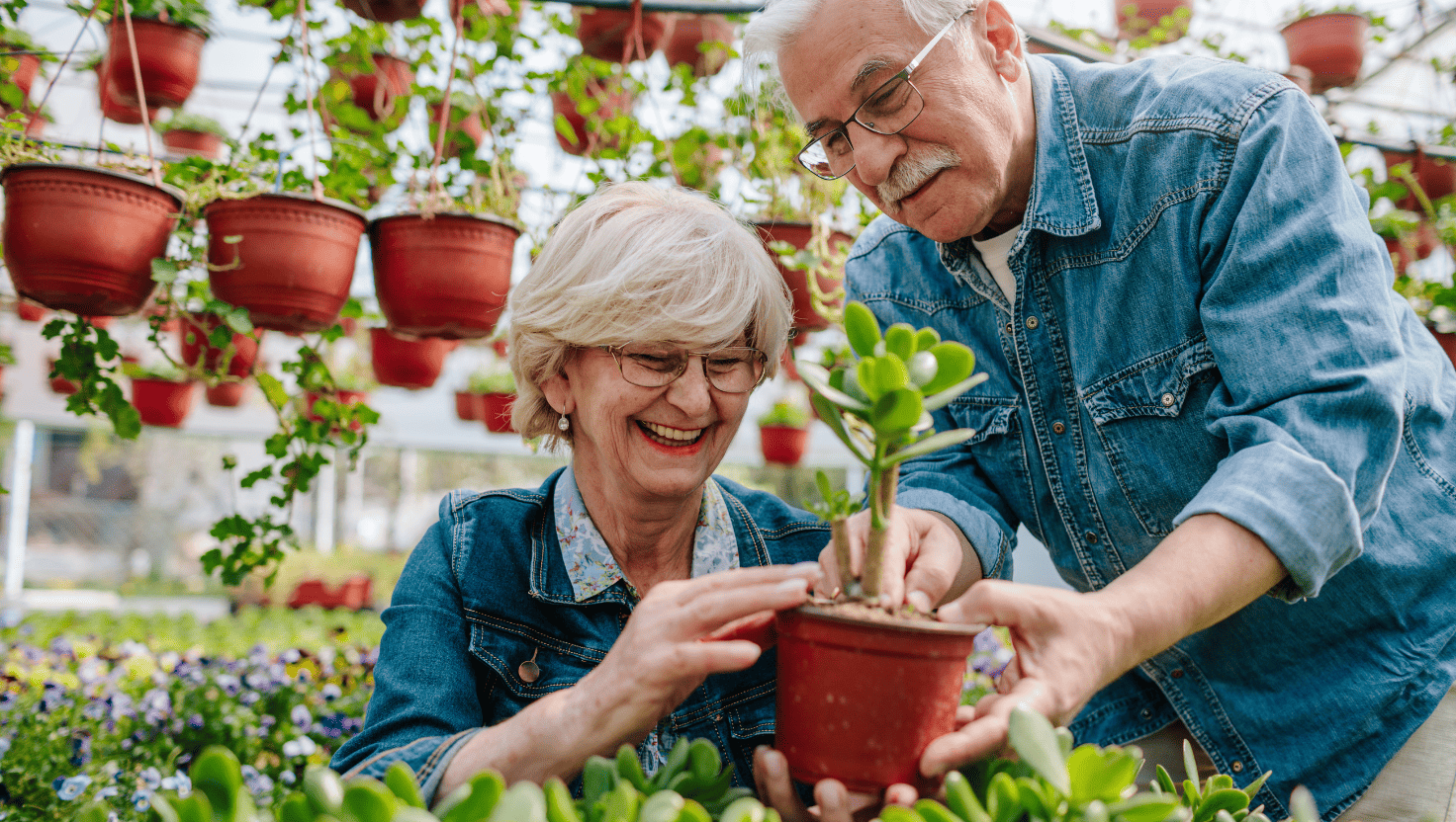 Transportation for Adult Day Programs in Massachusetts